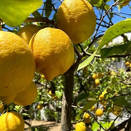 Tequila Frühstückspension 3*