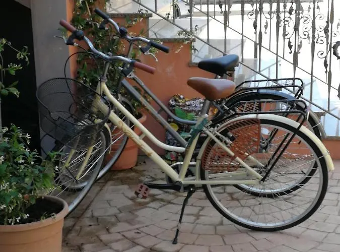 Tequila 3* Ольбия