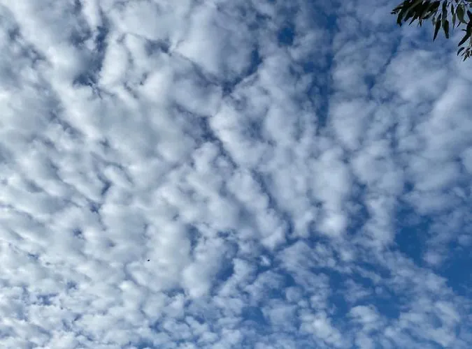 Tequila Отель типа 